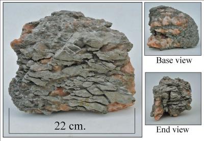 Triassic mudstone. Blue Anchor bay. Bill Bagley Rocks and Minerals